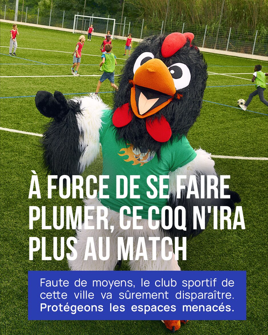 coq 1080×1350
